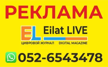 УСЛУГИ ОФИСА Eilat Live