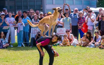 И возлюби свою собаку, как самого себя