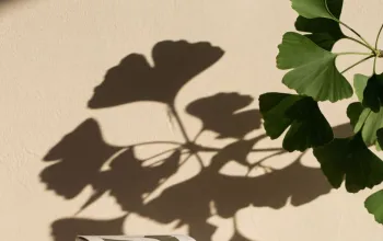 Стильно и бюджетно: новая коллекция Happy Lemon к Песаху