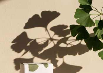 Стильно и бюджетно: новая коллекция Happy Lemon к Песаху